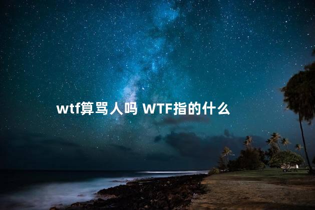 wtf算骂人吗 WTF指的什么